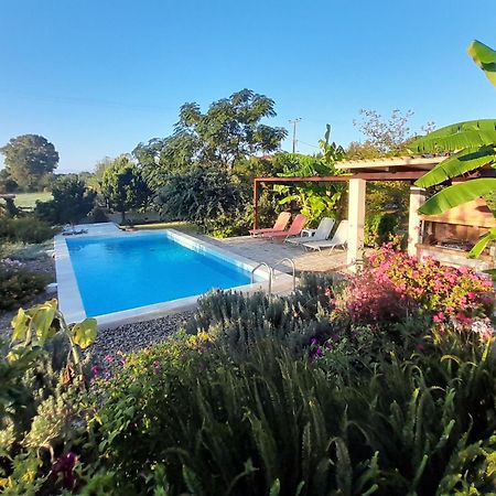 The Moon House Villa Preveza Eksteriør billede